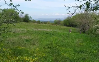 Auction image Land for building