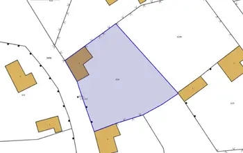 Auction image House