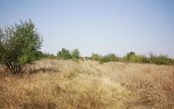 Auction image Farmland