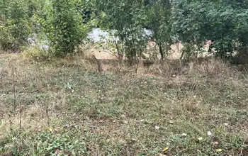 Auction image Land for building