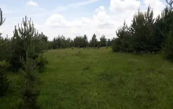 Auction image Land for building