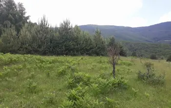 Auction image Land for building