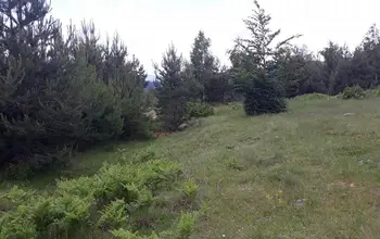 Auction image Land for building