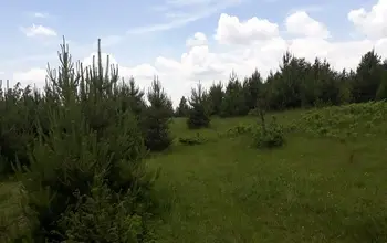 Auction image Land for building