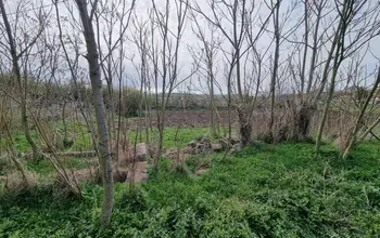 Auction image Парцел (ПИ, УПИ, двор)