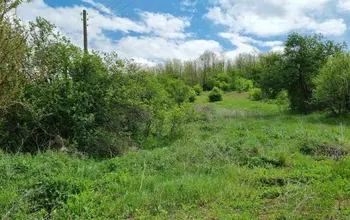 Auction image Парцел (ПИ, УПИ, двор)