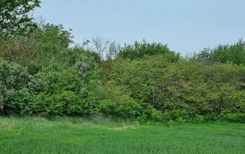 Auction image Къща