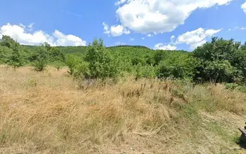 Auction image Земеделска земя/имот, ферма, парник/оранжерия