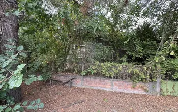 Auction image House
