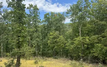Auction image Land for building