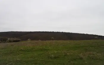 Auction image Farmland