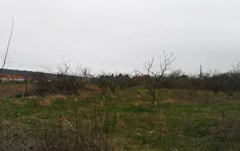 Auction image Farmland