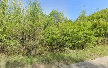 Auction image Farmland