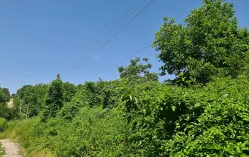 Auction image Land for building