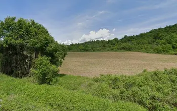 Auction image Farmland