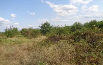 Auction image Farmland