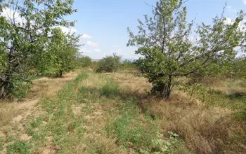 Auction image Farmland