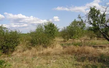 Auction image Farmland