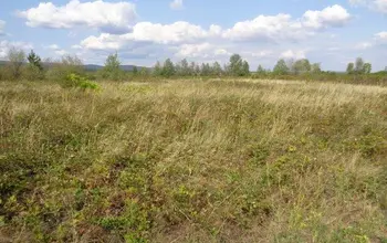 Auction image Farmland