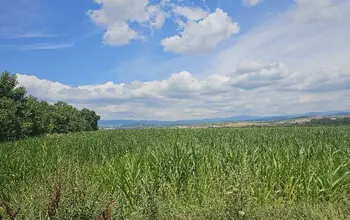 Auction image Farmland
