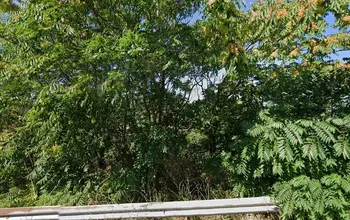 Auction image Land for building