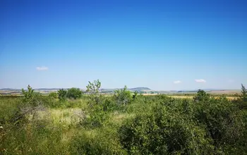 Auction image Земеделска земя/имот, ферма, парник/оранжерия
