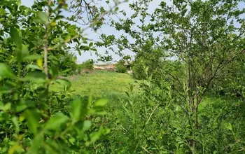Auction image Къща