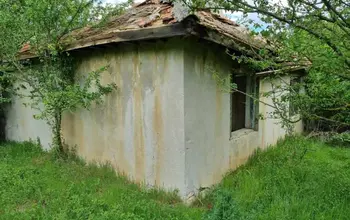 Auction image Други