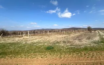 Auction image Farmland