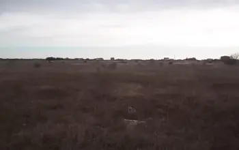 Auction image Land for building