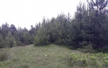 Auction image Land for building