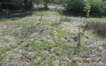 Auction image Парцел (ПИ, УПИ, двор)