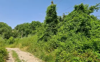 Auction image Парцел (ПИ, УПИ, двор)