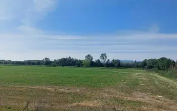 Auction image Farmland