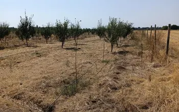 Auction image Земеделска земя/имот, ферма, парник/оранжерия