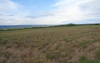 Auction image Farmland