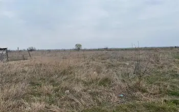 Auction image Farmland