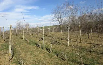 Auction image Farmland
