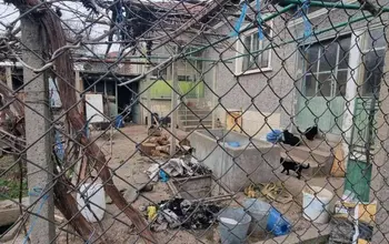 Auction image Къща