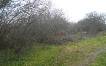 Auction image Land for building
