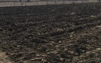 Auction image Farmland