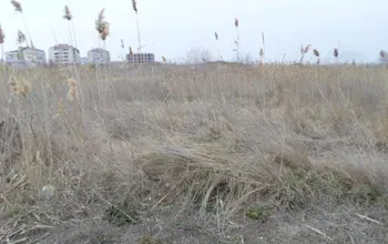 Auction image Land for building