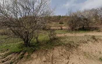 Auction image Farmland