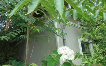 Auction image Къща