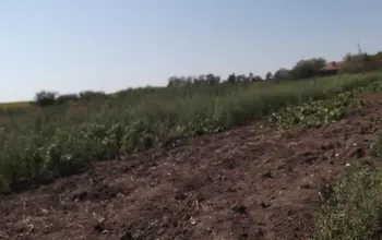 Auction image Land for building