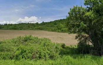 Auction image Farmland
