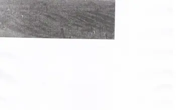 Auction image Земеделска земя/имот, ферма, парник/оранжерия