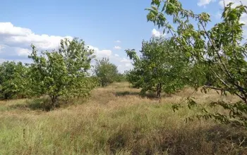Auction image Farmland