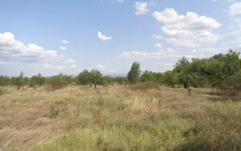 Auction image Farmland