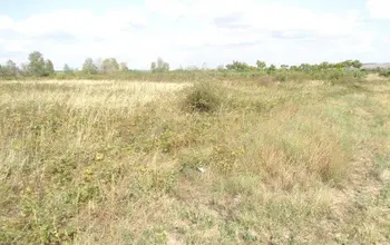 Auction image Farmland